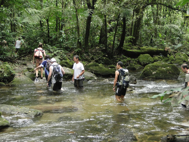DSC00697-1